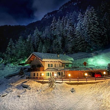 Cesa Vedla - Quite And Cozy Alpine Escape Ortisei Exterior photo